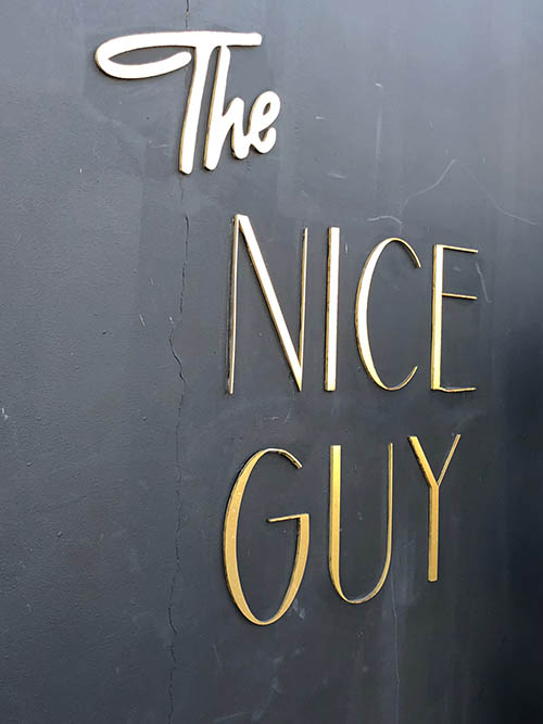 the-nice-guy