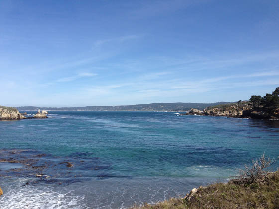 fandango-monterey-dine-travel