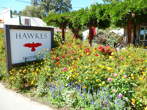 sonoma-wine-country-travel-story