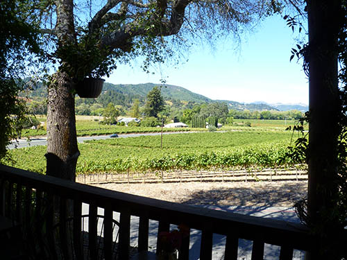 sonoma-wine-country-travel-story