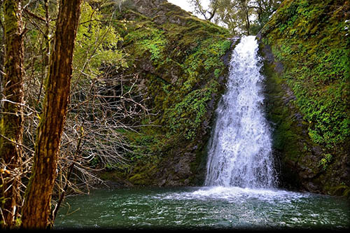 sonoma-wine-country-travel-story