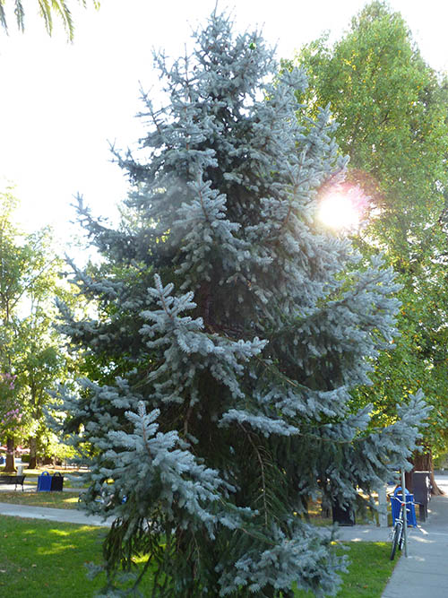 sonoma-wine-country-travel-story