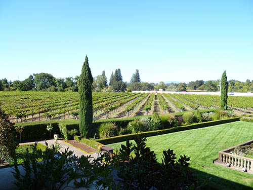 sonoma-wine-country-travel-story