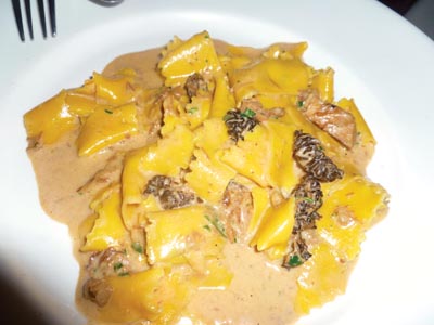 celestino-dine-review