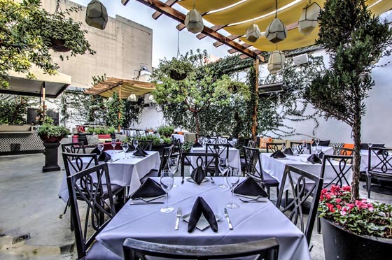 asa-meza-dine-review