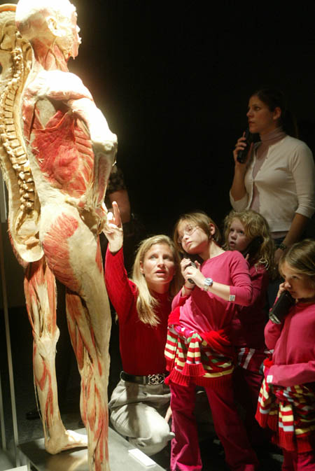 Bodies the exhibition