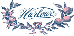 harlowe-dine-review