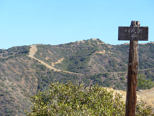 catalina-island-vacation-get-away