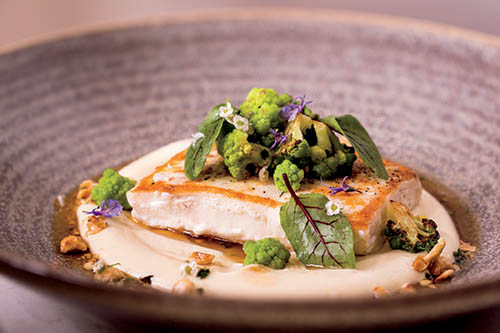 cast-&-plow-dine-review